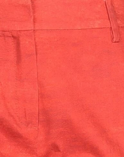 Shop True Royal Woman Pants Red Size 8 Cotton, Elastane
