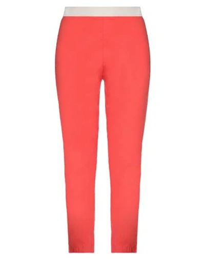 Shop Liviana Conti Pants In Red