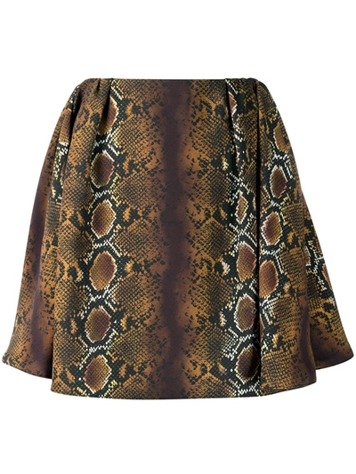Shop Versace Python-print Flared Mini Skirt In Brown