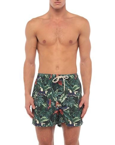 Shop Oas Swim Trunks In Green