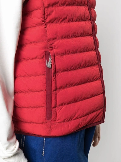 Shop Lacoste Embroidered Crocodile Quilted Gilet In Red