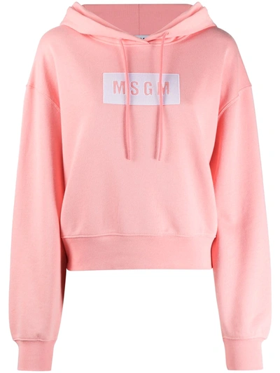 Shop Msgm Logo Print Cotton Hoodie In Pink