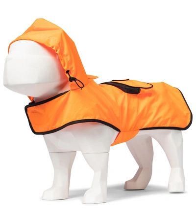 Shop Moncler Genius X Poldo Dog Vest In Orange