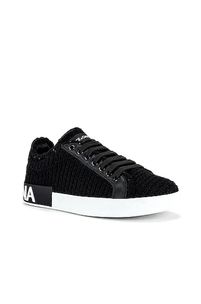 Shop Dolce & Gabbana Portofino Sneaker In Black & Black