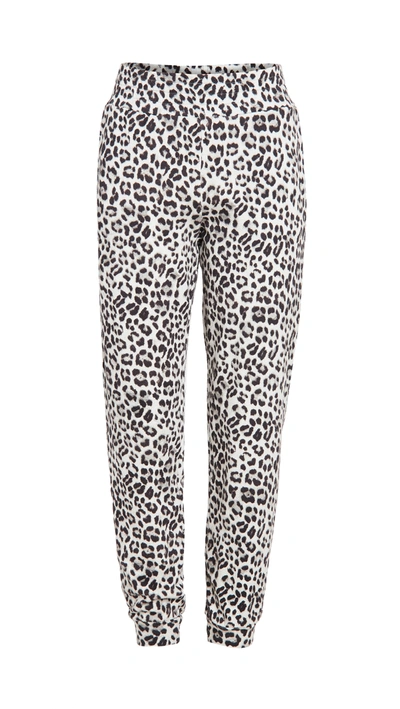 Shop Alice And Olivia Nyc Slim Joggers In Royal Leopard Sm