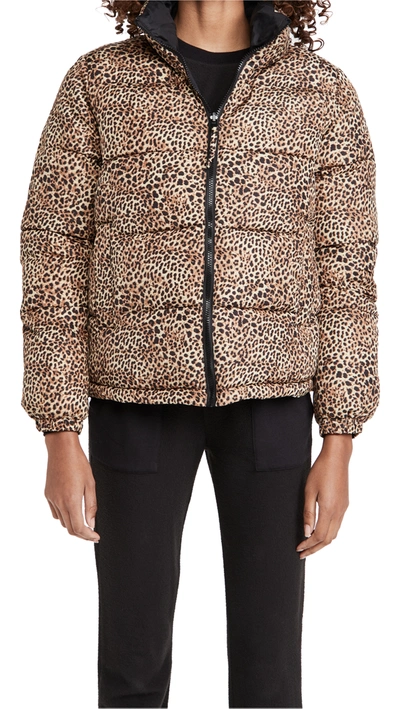 Shop Bb Dakota Cool Kitten Reversible Puffer Coat In Leopard