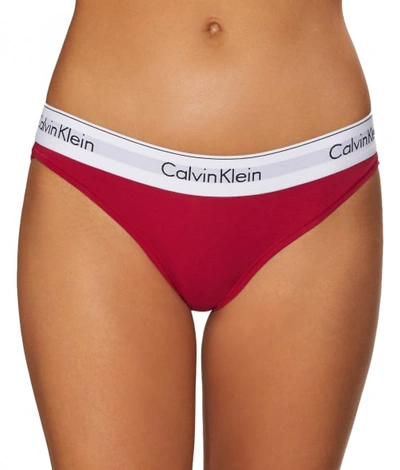 Shop Calvin Klein Modern Cotton Bikini In Empower