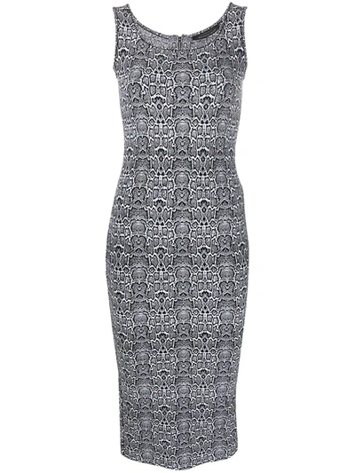 Shop Antonino Valenti Leopard-print Fitted Dress In Black