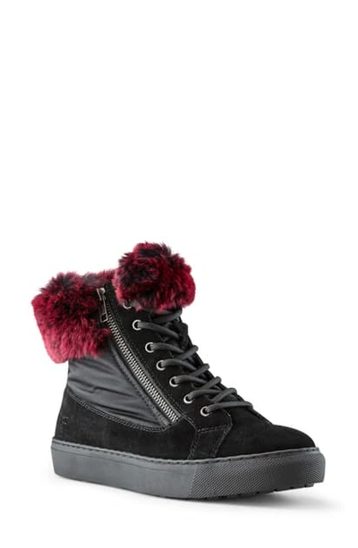Shop Cougar Danica Sneaker Boot With Genuine Rabbit Fur Trim In Black Suede