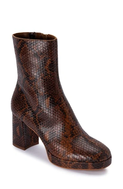 Shop Dolce Vita Eden Block Heel Bootie In Cognac Snake Print Leather