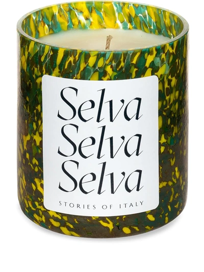 Shop Stories Of Italy Macchia Selva Scented Candle In Green