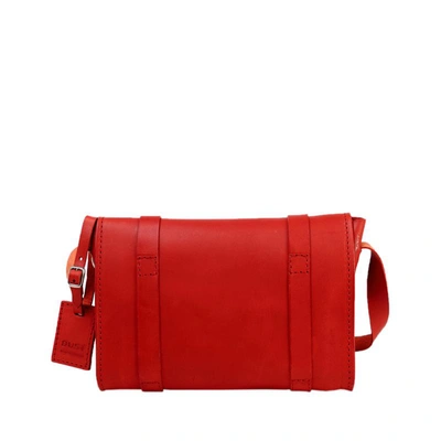 Shop The Dust Company Betta In Red