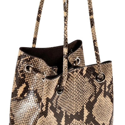 Marco Masi Aurora In Python