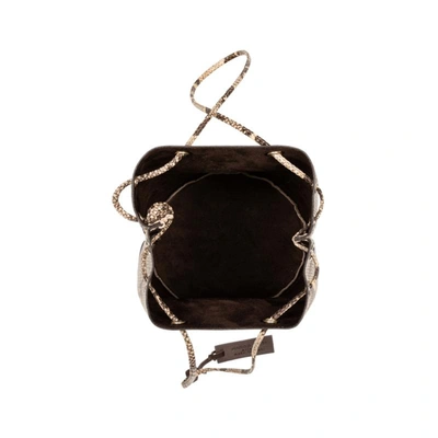 Marco Masi Aurora In Python