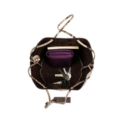 Marco Masi Aurora In Python