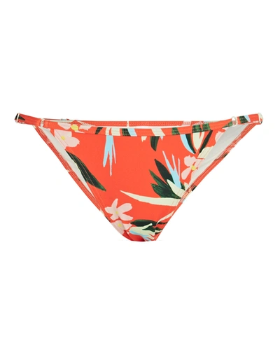 Shop Solid & Striped Lulu Floral Bikini Bottoms In Orange