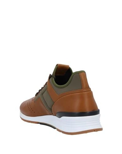 Tod's Sneakers In Brown