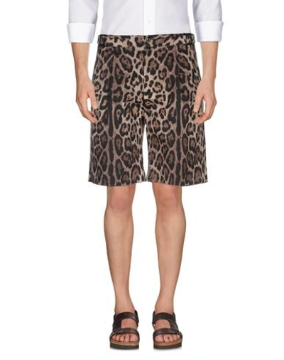 Shop Dolce & Gabbana Man Shorts & Bermuda Shorts Beige Size 34 Cotton, Elastane