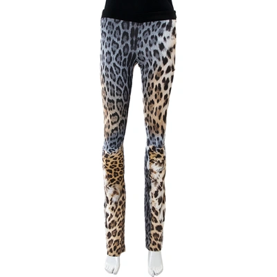 Pre-owned Just Cavalli Animal Print Cotton Flared Leg Trouser S In Brown