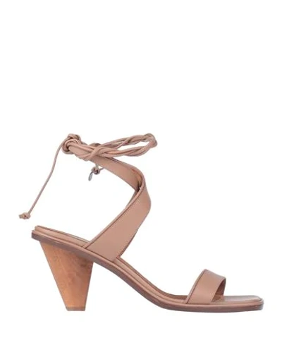 Shop Stella Mccartney Woman Sandals Brown Size 8 Rubber