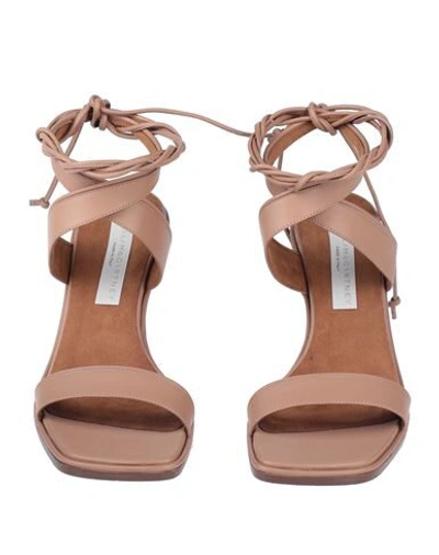 Shop Stella Mccartney Woman Sandals Brown Size 8 Rubber