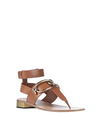 Tod's Toe Strap Sandals In Brown
