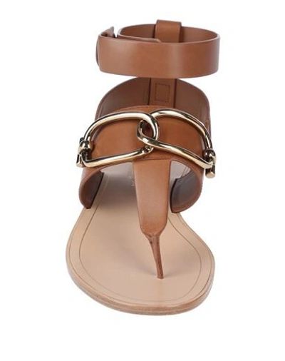 Tod's Toe Strap Sandals In Brown