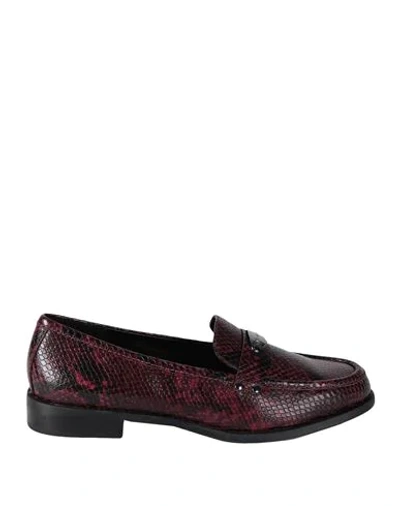 Shop Michael Michael Kors Loafers In Maroon