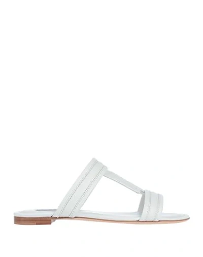 Shop Tod's Sandals In White