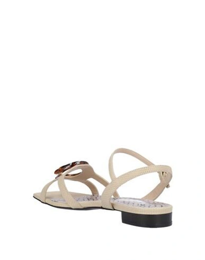 Shop Cavalli Class Sandals In Beige