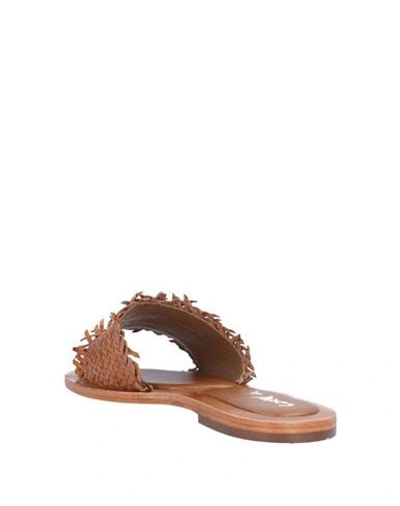 Shop Coral Blue Sandals In Camel