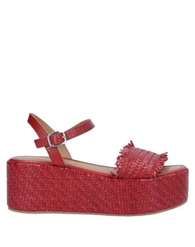 Shop Coral Blue Sandals In Maroon