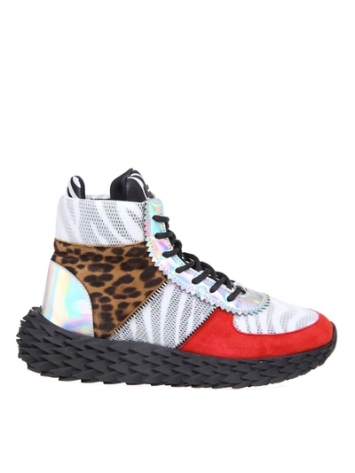 Shop Giuseppe Zanotti Urchin Sneakers With Zebra Print Multicolor In Multicolour