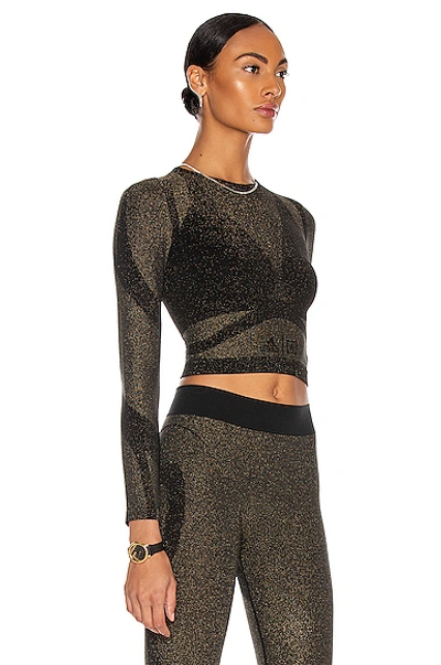 Shop Wolford X Adidas Studio Motion Long Sleeve Crop Top In Gold