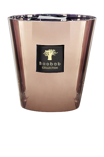 Shop Baobab Collection Les Exclusives Candle In Cyprium