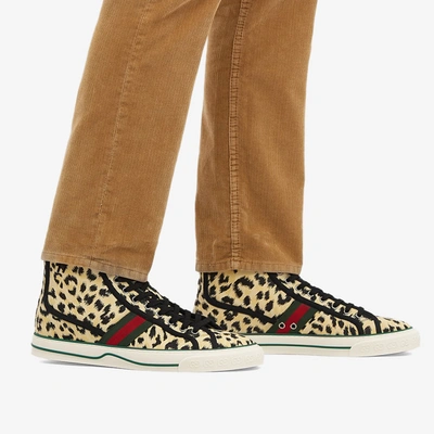 Shop Gucci Leopard Print Tennis High 1977 Sneaker In Yellow