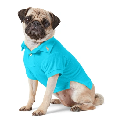 Ralph Lauren Cotton Mesh Dog Polo Shirt In Cove Blue | ModeSens