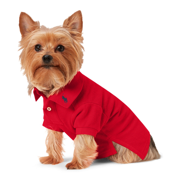 Ralph Lauren Cotton Mesh Dog Polo Shirt In Rl 2000 Red ModeSens