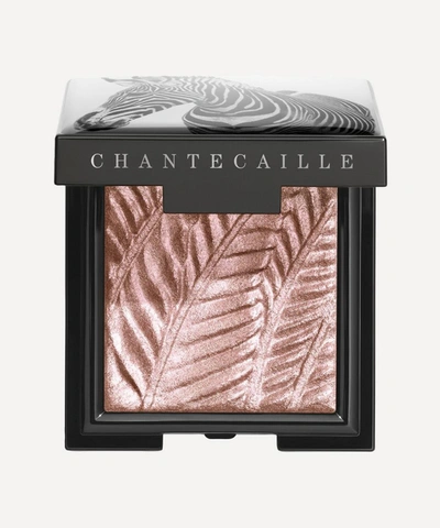 Chantecaille Zebra Luminescent Eye Shade In Zebra