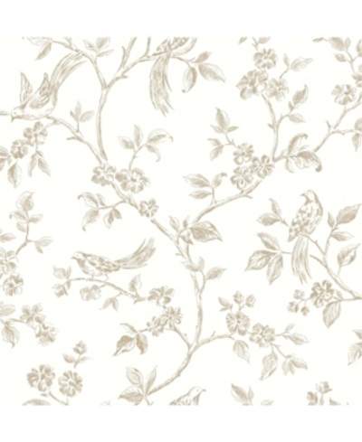 Shop Advantage 20.5" X 369" Ray Bird Trail Wallpaper In Taupe