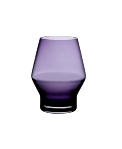 Shop Nude Glass Beak Water Glass Set In Purple