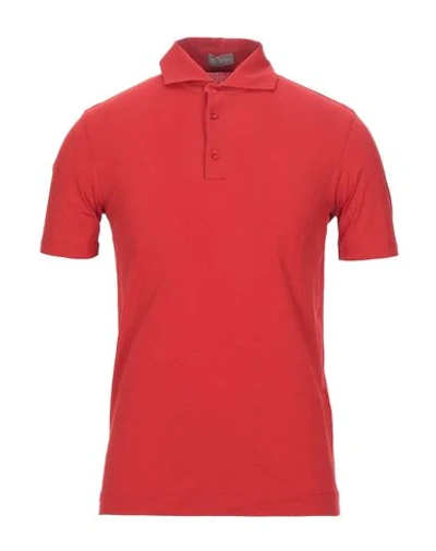 Shop Cruciani Polo Shirts In Red