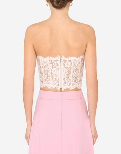 Shop Dolce & Gabbana Lace Bustier In Pink