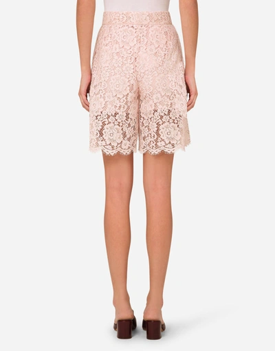 Shop Dolce & Gabbana High-waisted Lace Shorts In Pink