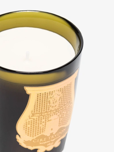 Shop Cire Trudon Green Spiritus Sancti Classique Scented Candle In Green Vessel