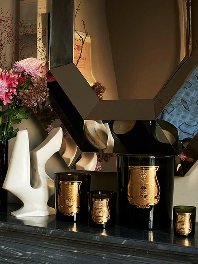 Cire Trudon Ernesto Scented Candle (800g) In Green