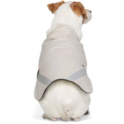 Shop Stutterheim Ssense Exclusive Beige Pvc Lightweight Dog Raincoat In 2375 Ltsand