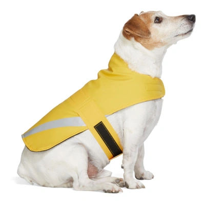 Shop Stutterheim Ssense Exclusive Yellow Pvc Lightweight Dog Raincoat In 2376 Yellow