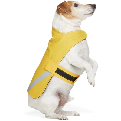 Shop Stutterheim Ssense Exclusive Yellow Pvc Lightweight Dog Raincoat In 2376 Yellow