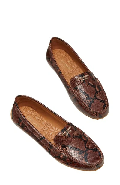 Shop Kate Spade Deck Driving Loafer In Redwood Snake Print Leather